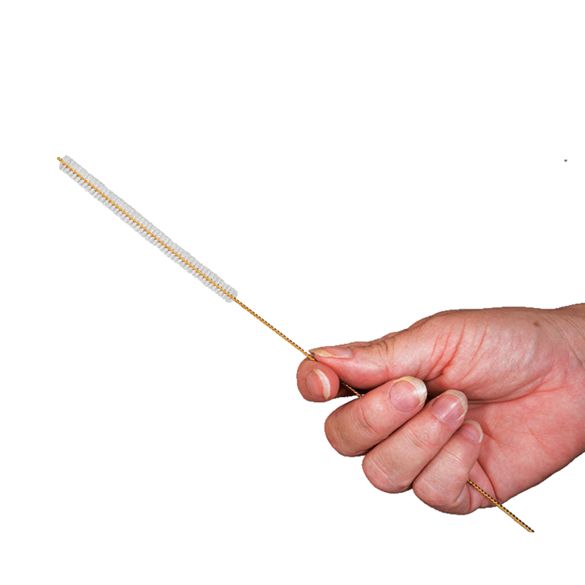 Brosse de nettoyage RPW Lite - Chattanooga®