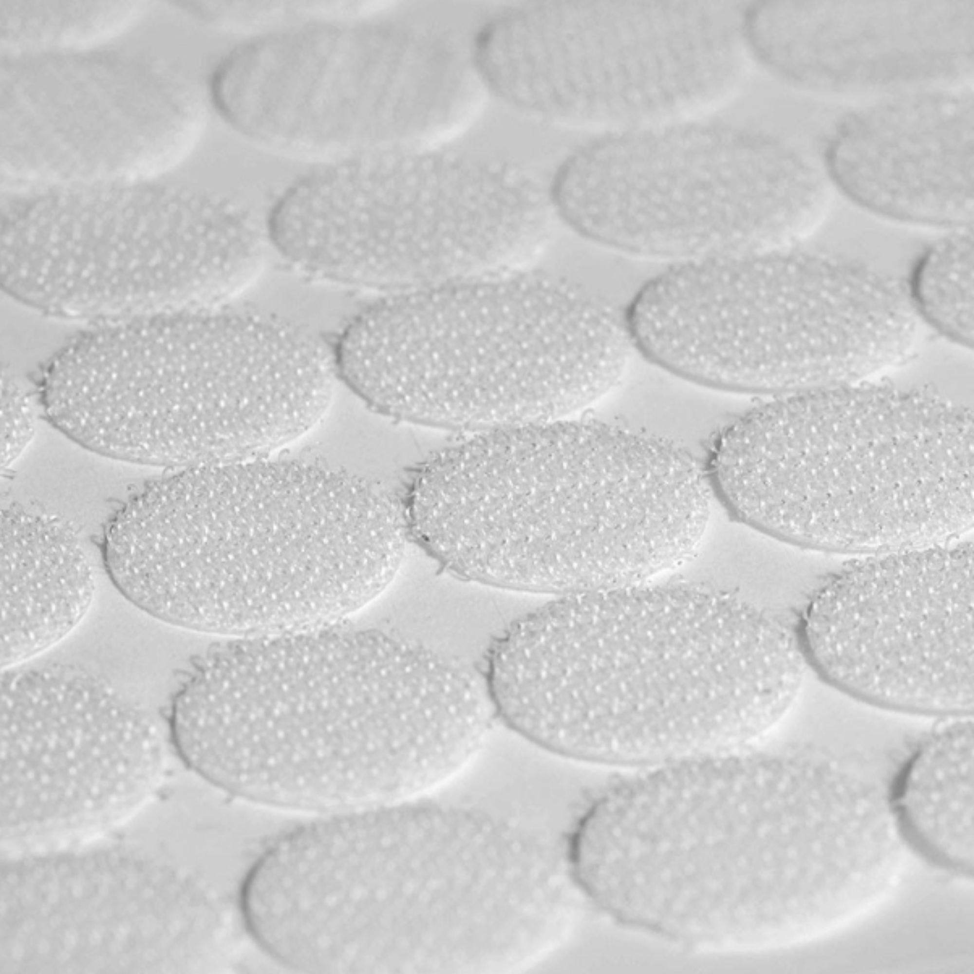 Pastilles Adhésives - Crochets agrippants - Boîte de 150 pastilles - Velcro